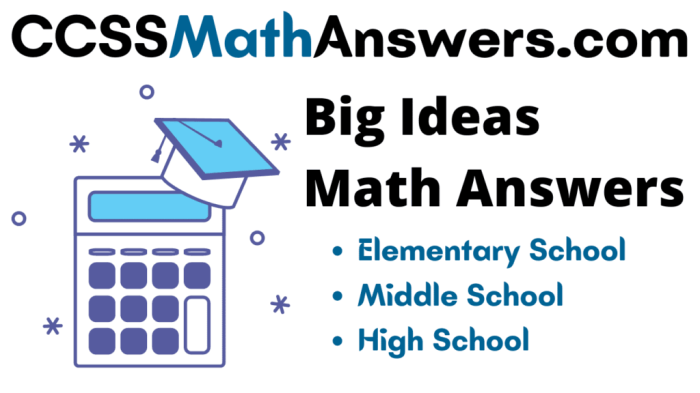 Big ideas math chapter 7 answer key