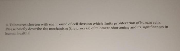 Which of the following statements about telomeres is incorrect