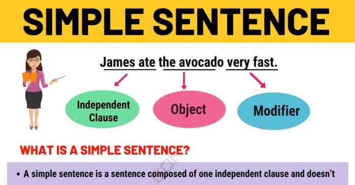 Which examples are simple sentences select three options