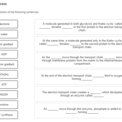 Activity 2 fill-in-the-blank sentence commonlit answer key