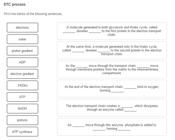 Activity 2 fill-in-the-blank sentence commonlit answer key